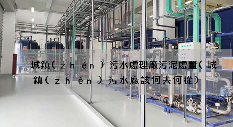 城鎮(zhèn)污水處理廠污泥處置(城鎮(zhèn)污水廠該何去何從)